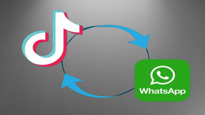 How To Share TikTok Videos on WhatsApp